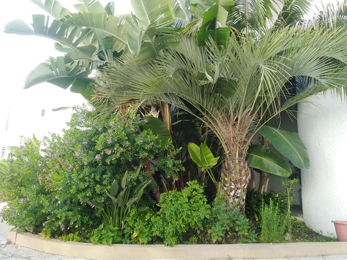 Garden View Vilamoura Apartment Buitenkant foto